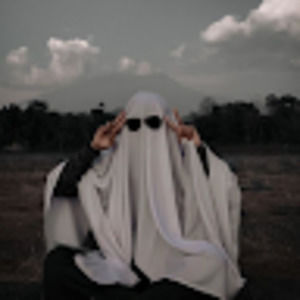 Meet your Posher, Darwin